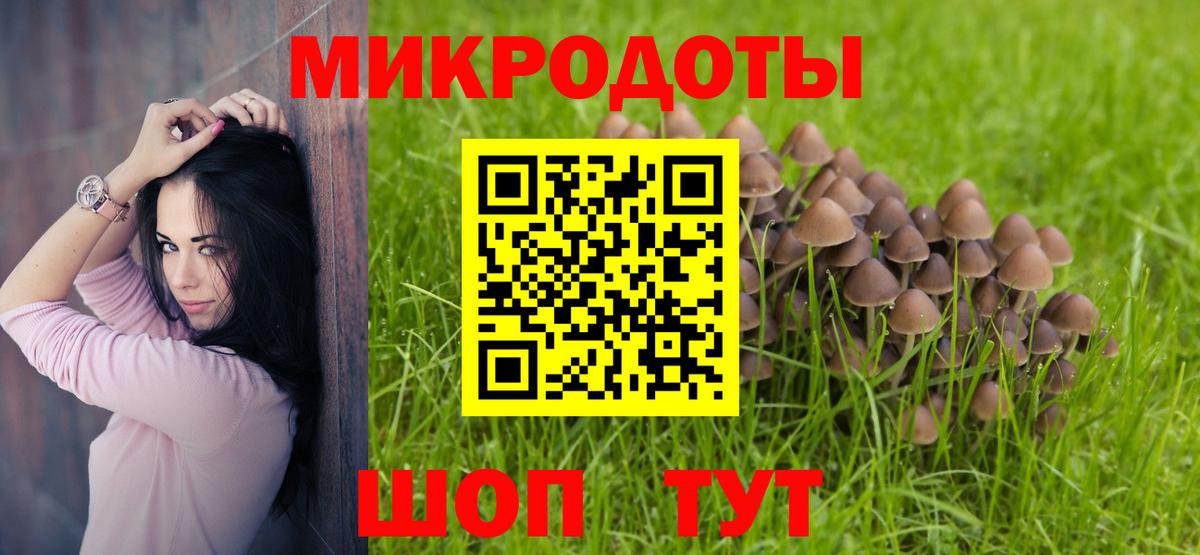 Аксай  Псилоцибиновые грибы мухоморы  Вход с VPN  Псилоцибиновые грибы прущие грибы 